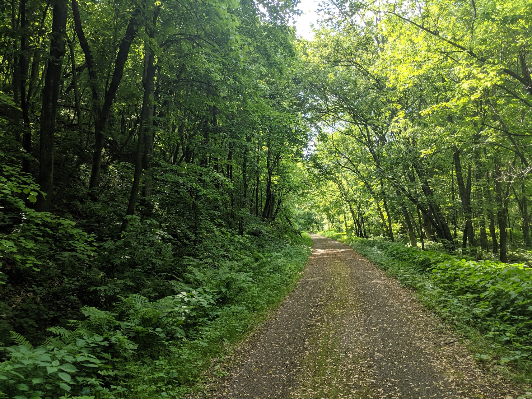 Old converted rail-to-trail path in Wisconsin